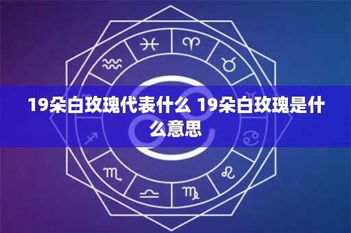 19朵白玫瑰代表什么 19朵白玫瑰是什么意思