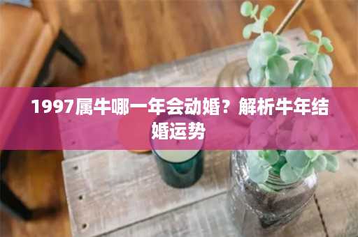 1997属牛哪一年会动婚？解析牛年结婚运势