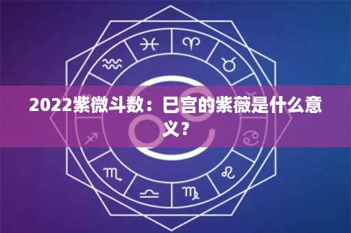 2022紫微斗数：巳宫的紫薇是什么意义？