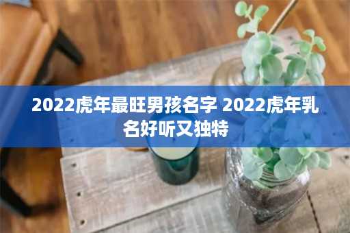 2022虎年最旺男孩名字 2022虎年乳名好听又独特