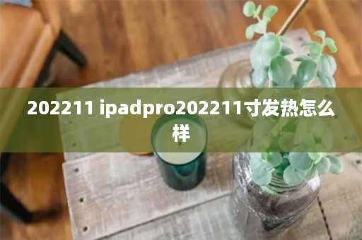 202211 ipadpro202211寸发热怎么样