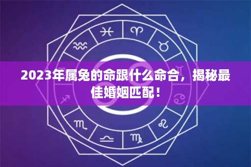 2023年属兔的命跟什么命合，揭秘最佳婚姻匹配！