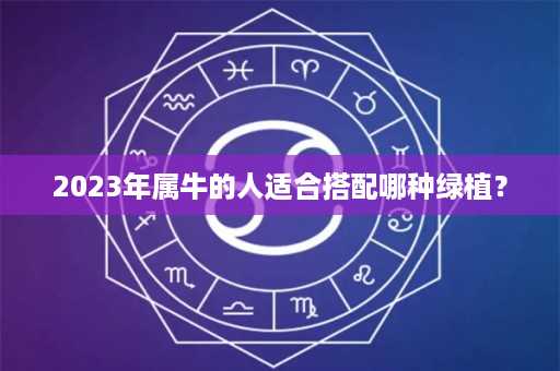 2023年属牛的人适合搭配哪种绿植？