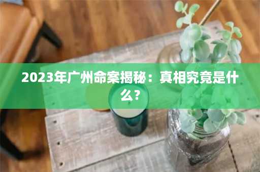 2023年广州命案揭秘：真相究竟是什么？