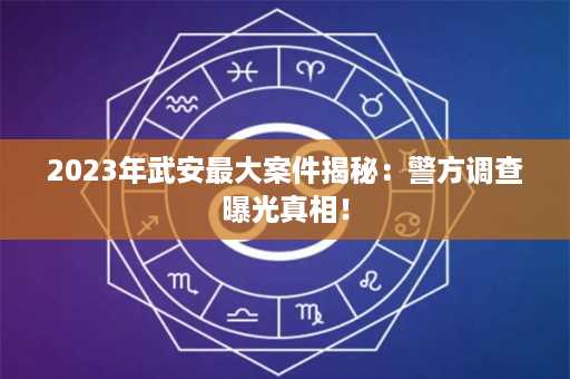 2023年武安最大案件揭秘：警方调查曝光真相！