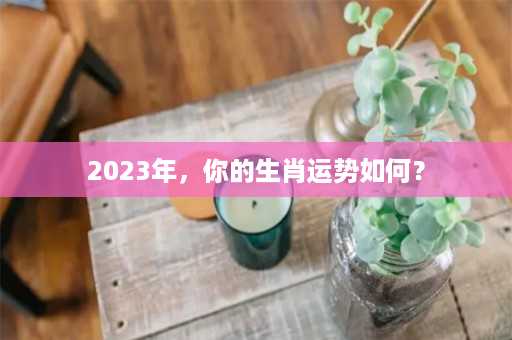 2023年，你的生肖运势如何？