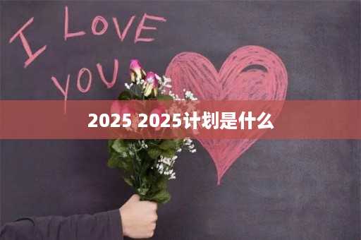 2025 2025计划是什么