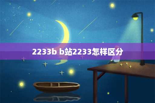 2233b b站2233怎样区分