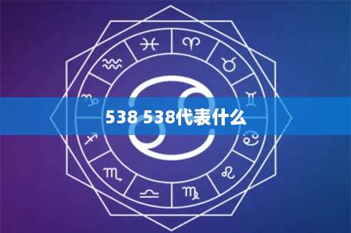 538 538代表什么