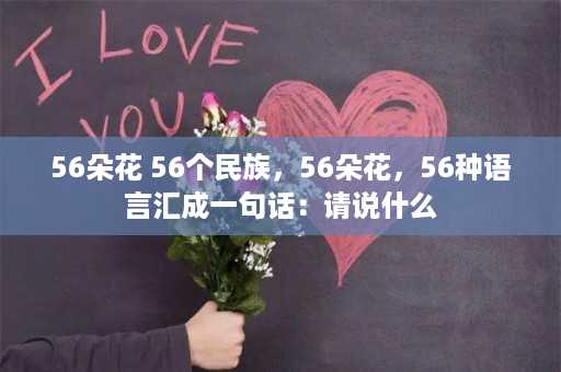 56朵花 56个民族，56朵花，56种语言汇成一句话：请说什么