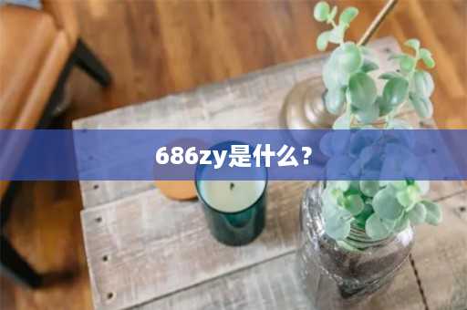 686zy是什么？