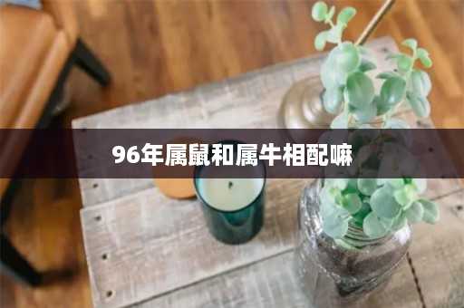 96年属鼠和属牛相配嘛