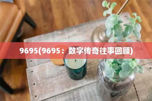 9695(9695：数字传奇往事回顾)