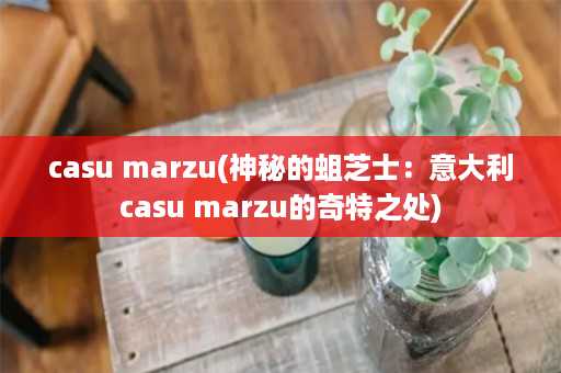 casu marzu(神秘的蛆芝士：意大利casu marzu的奇特之处)