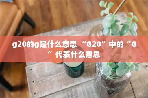 g20的g是什么意思 “G20”中的“G”代表什么意思