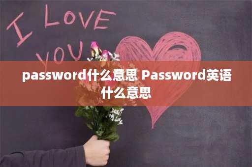 password什么意思 Password英语什么意思