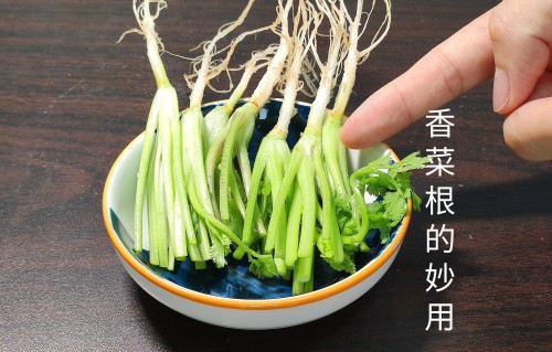 香菜根煮水的功效祛斑(香菜加葱须治荨麻疹效果好吗)