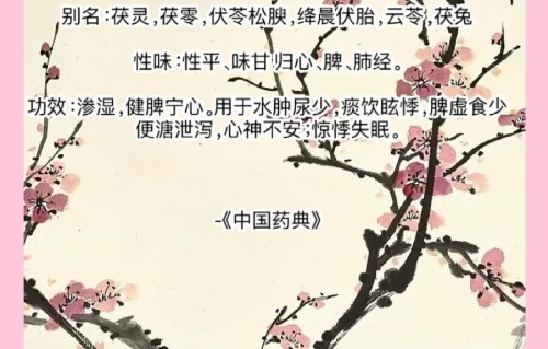 茯苓祛斑的正确方法(茯苓祛斑的正确方法是什么)