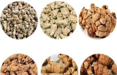 三七如何祛斑(三七如何祛斑美白)